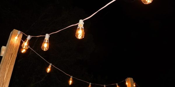 Photo Edison bulbs
